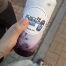 일리터캔더저렴 | 천안신상카페 대용량 천안포장 배달맛집 일리터캔더저렴