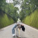 대성글램핑 이미지