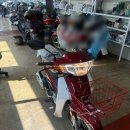 한솜농장 네이버블로그