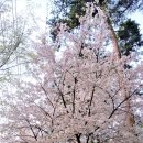 당하1호공원 이미지