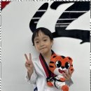 우리동네태권도장 이미지