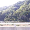 보은염소농장 이미지