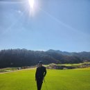 도그니엘 | 자양동 골프연습장 필드레슨 춘천 라비에벨 듄스코스 공략