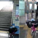 철교농장 네이버블로그