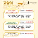 키다리아저씨동물병원