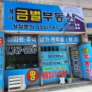 금별공인중개사사무소 이미지