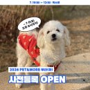 라라앤코 | [펫앤모어 부산 반려동물 박람회] 7월 10일 11일 12일 벡스코 행사ㅣ이벤트, 여름아이템, 고양이 아이템...