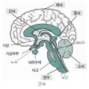 연락수로 이미지