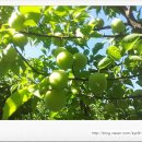 호장농장 이미지