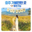 가곡로(서) | [충주 가볼만한 곳] 드라마 주인공처럼 인생샷 남기는 꿀팁(애견동반 가능)