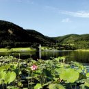 신원CC (회원제) 이미지