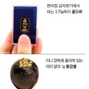 개미자판기