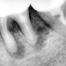 조은치과의원 이미지