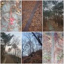 가랑 이미지