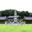 메밀꽃피면 이미지