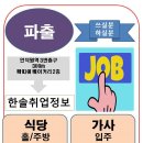 한솔취업정보 이미지