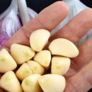 농업회사법인(주)대산
