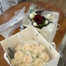 세인목장 | 제주스냅 추천 센터피스스냅 centerpiece snap 촬영후기