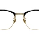 오스트리치안경 이미지