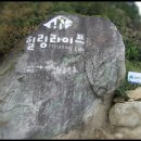 힐링라이프 티스토리