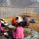 구주령 산채농원 이미지