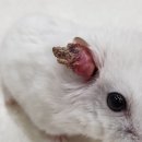 이앤박동물병원 이미지