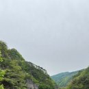오렌지 꽃향기는 바람에 날리고 | 황금연휴 알차게 보내기 청량산 오전 약수터 오렌지 꽃 향기는 바람에 날리고 힐링여행 시골살이 소확행