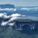 테이블79 이미지