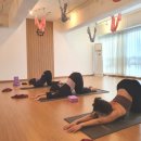 힐링요가 A 이미지