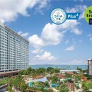 파타야리조트 프로모션-아마리 파타야 리조트 2025년 11월 1일~ 2026년 4월 15일까지, 아마리 4600바트부터 시작,워터파크형 이미지