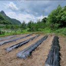 보현산2농장 이미지