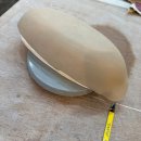 퍼피원데이 이미지