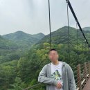 증평가구세상 | 증평 좌구산자연휴양림 출렁다리 걸어본 후기, 생각보다 풍경 미쳤다