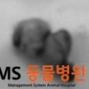 MS동물병원 이미지