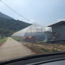 선진농원 | 학사농원 선진 농원 견학 | 강원도 영월 그래도팜