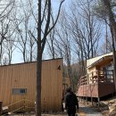 [의왕] 바라산 자연휴양림 '숲속의 집' 1박 후기: 벚꽃과 새싹이 반기는 힐링 스테이