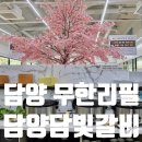 수북 | 담양맛집 담양담빛갈비 수북 돼지갈비 무한리필 식당 후기