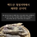 건재