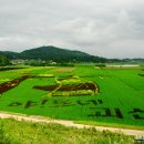 그림이있는 풍경 이미지