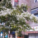 식잡 이미지