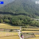 명진임업