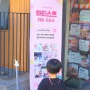 하티스트미술교습소 이미지