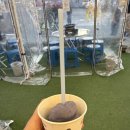 인동가산로6-17 | 구미 진평동 맛집 "연막창 진평인동점" 방문