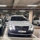 삼우자동차정비(합) | 투싼 NX4 구매비용 + 1년 유지비 총정리 | 보험료, 기름값, 취등록세 얼마 들까?