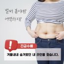 보라솔루션