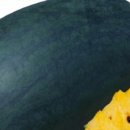 전북종묘농약사 이미지