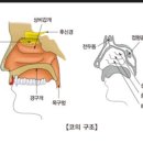 현가한의원 이미지