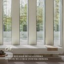 파르크도산의원 네이버블로그