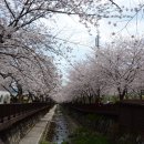 기억의 순간 이미지