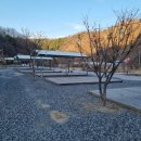 여울애꽃물들인 이미지